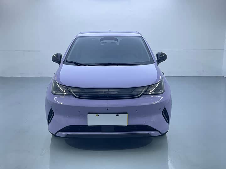 BYD Dolphin 2025 2025款 智驾版 420km 自由版