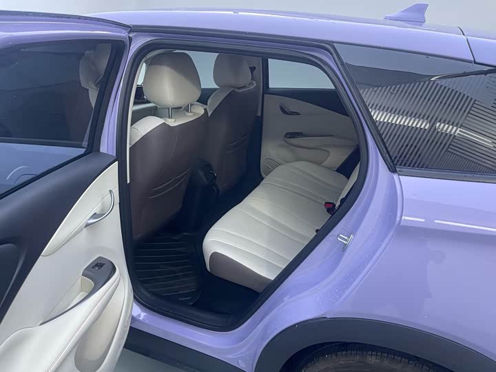 BYD Dolphin 2025 2025款 智驾版 420km 自由版