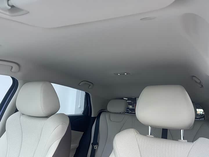 BYD Dolphin 2025 2025款 智驾版 420km 自由版