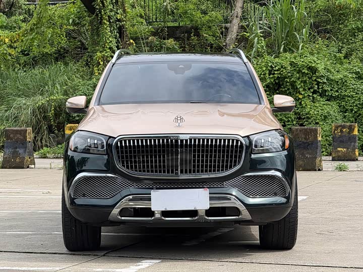 Mercedes-Benz GLS-Class 2021 2021款 GLS 450 4MATIC 时尚型