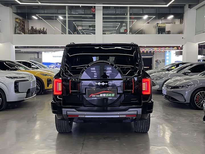 Фото 4 - BYD FangChengBao Leopard 8