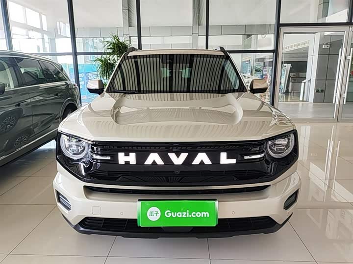 Haval H-Dog Hybrid 2026 2026款 Hi4 150km 潮电版