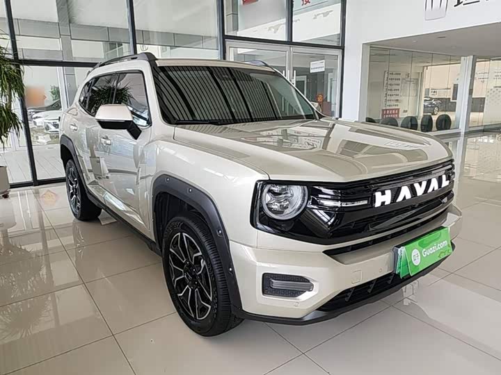 Haval H-Dog Hybrid 2026 2026款 Hi4 150km 潮电版