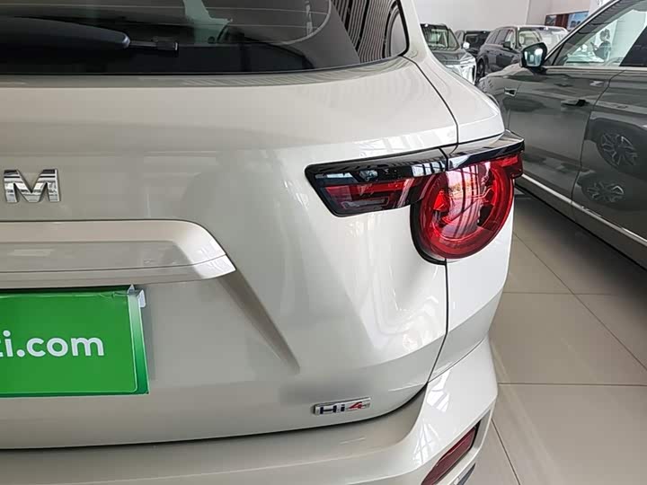 Haval H-Dog Hybrid 2026 2026款 Hi4 150km 潮电版