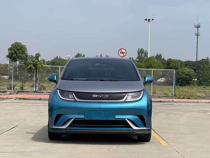 Фото 2 - BYD Dolphin
