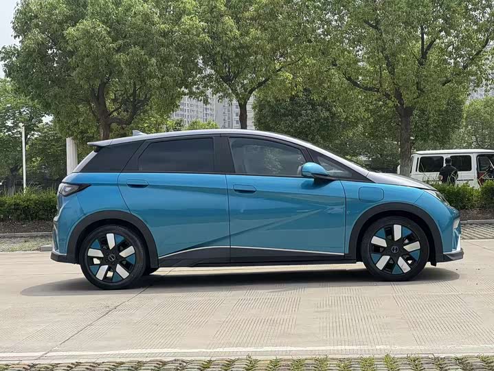 Фото 3 - BYD Dolphin