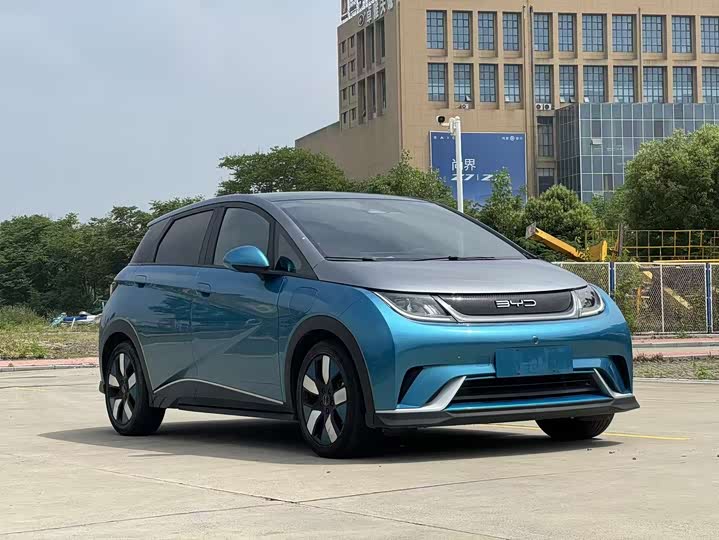Фото 6 - BYD Dolphin