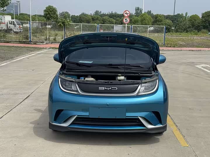 Фото 8 - BYD Dolphin
