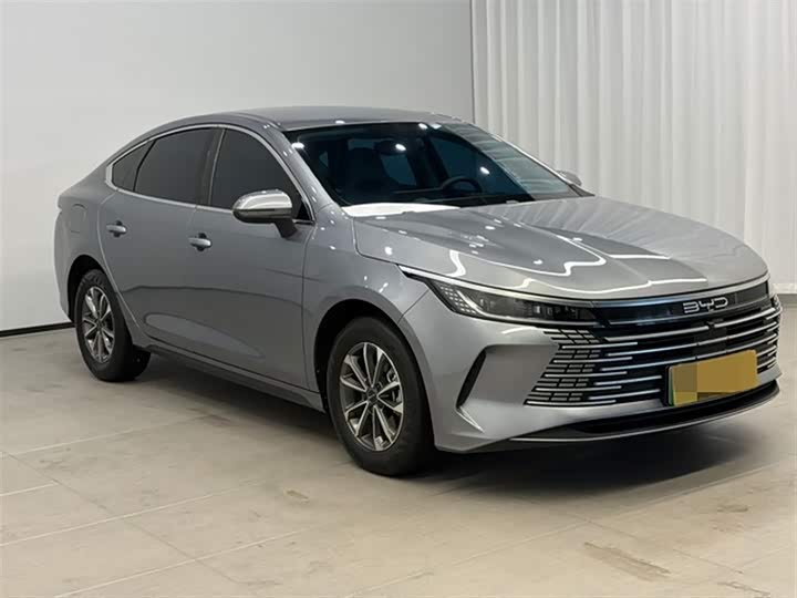 BYD Destroyer 05 2024 2024款 荣耀版 DM-i 55KM 豪华型