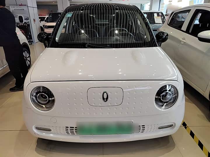 Ora Black Cat 2022 2022款 351km 舒适型 三元锂
