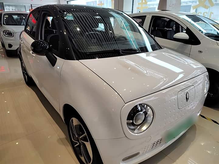 Ora Black Cat 2022 2022款 351km 舒适型 三元锂