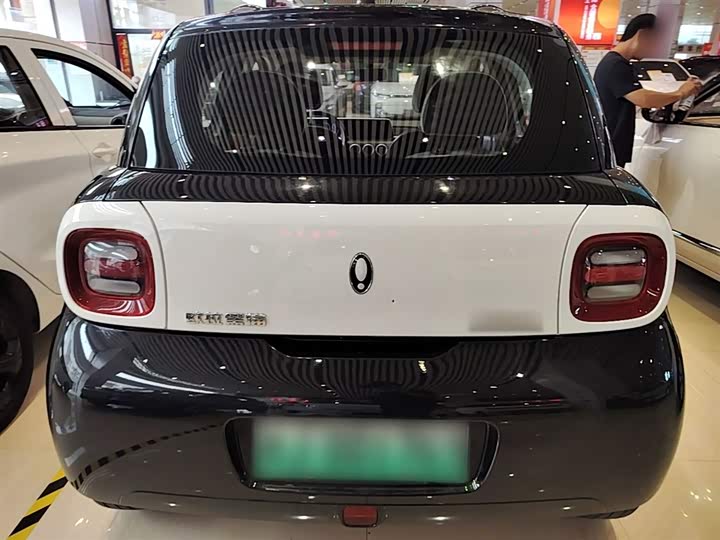 Ora Black Cat 2022 2022款 351km 舒适型 三元锂