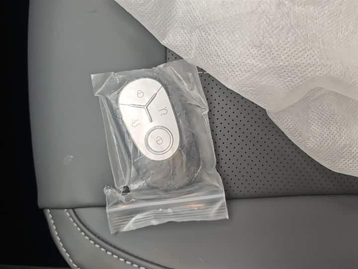 Geely Galaxy Geome 2026 2026款 310km 梦想版