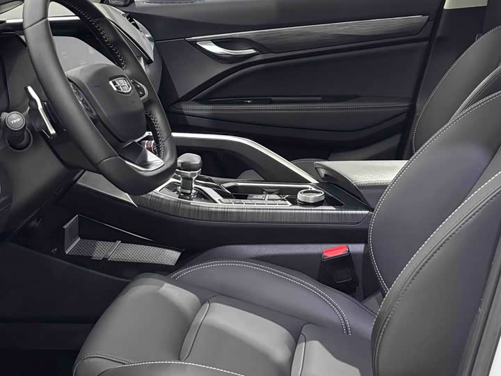 Geely Tugella 2020 2020款 高能版 350T 耀星者
