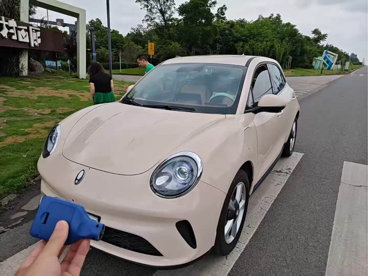 Ora Good Cat (03) 2025 2025款 430km 豪华型