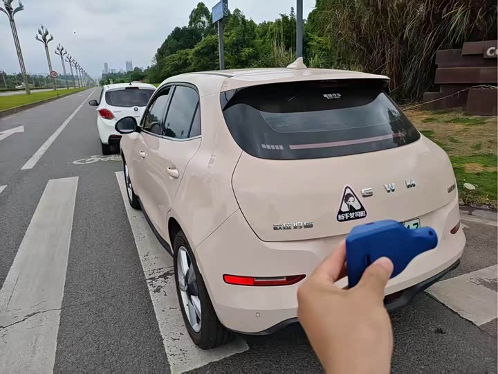 Ora Good Cat (03) 2025 2025款 430km 豪华型