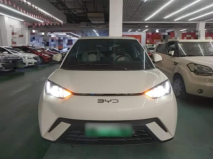Zdjęcie 3 - BYD Seagull