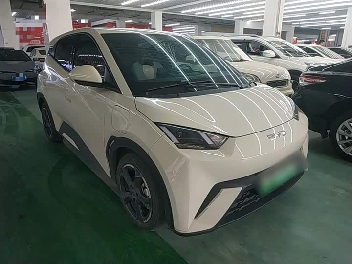 Zdjęcie 4 - BYD Seagull