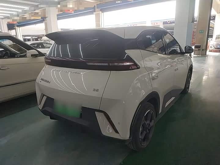 Zdjęcie 7 - BYD Seagull