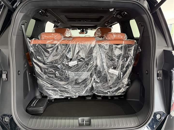 GAC Trumpchi E9 2025 2025款 E9 超级快充 冠军
