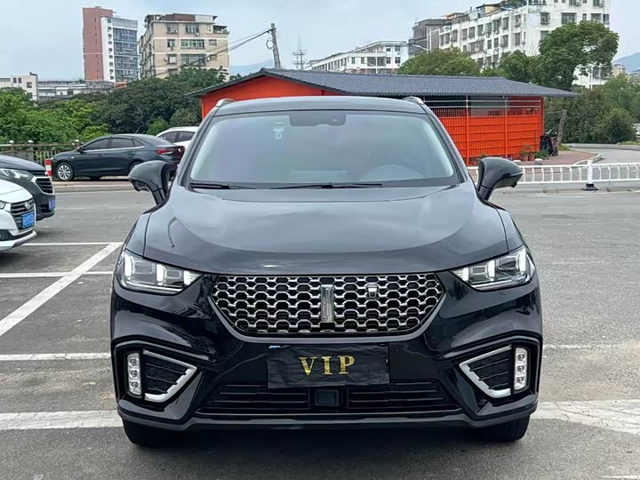 2021 Wey VV5