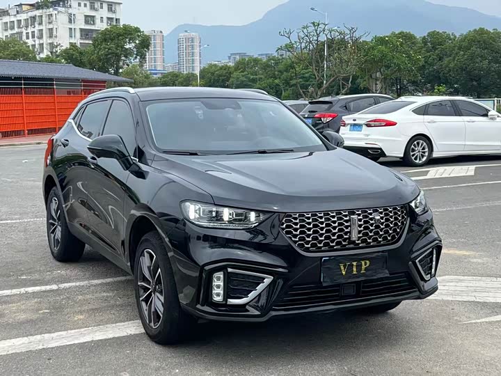 2021 Wey VV5