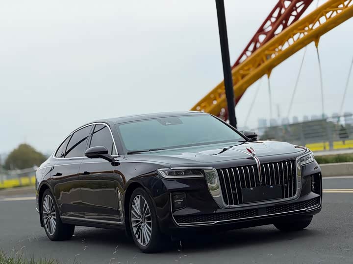 Фото 2 - Hongqi H9