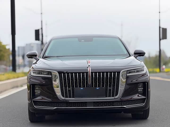 Фото 3 - Hongqi H9