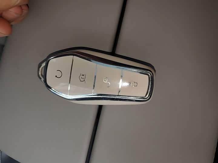 Photo 9 - BYD Tang Hybrid/EV