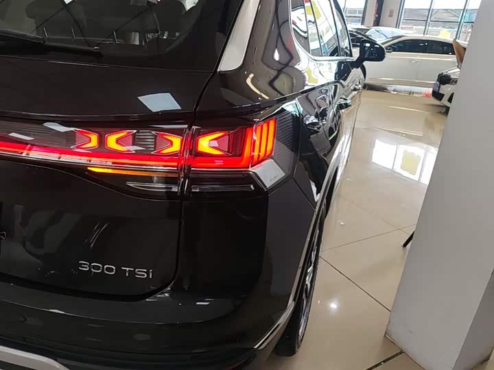 Volkswagen Tayron 2024 2024款 300TSI 两驱豪华Plus进阶版