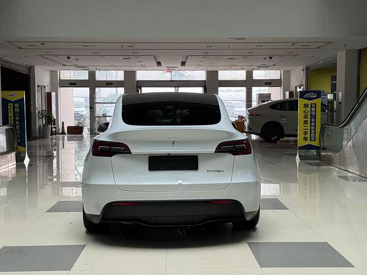 Tesla Model Y 2022 2022款 长续航全轮驱动版