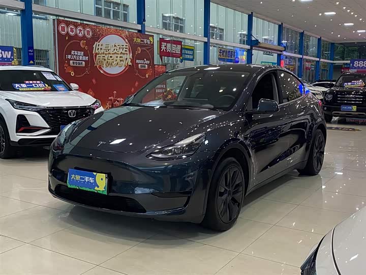 Tesla Model Y 2024 2024款 后轮驱动版
