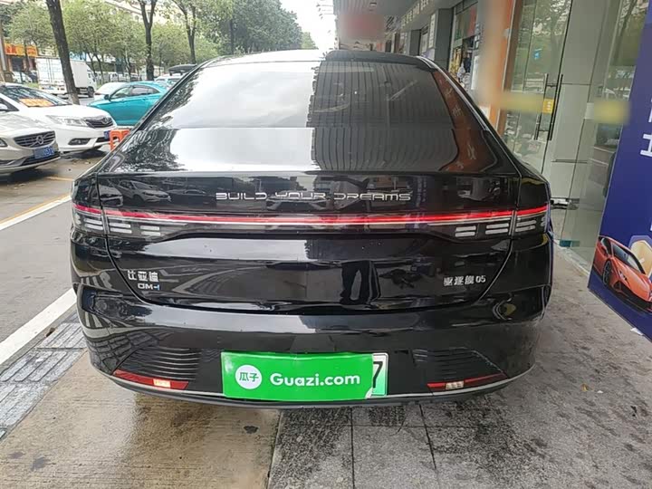 Zdjęcie 6 - BYD Destroyer 05