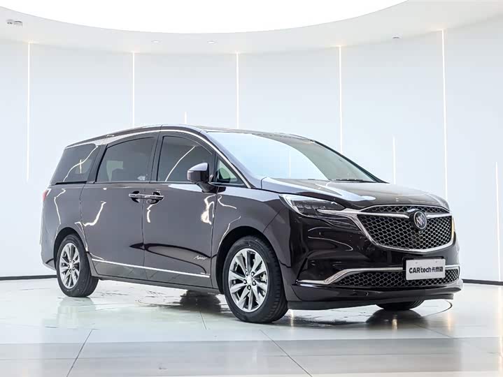 Фото 2 - Buick GL8 ES