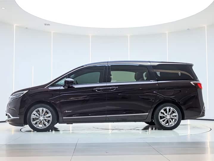 Фото 7 - Buick GL8 ES