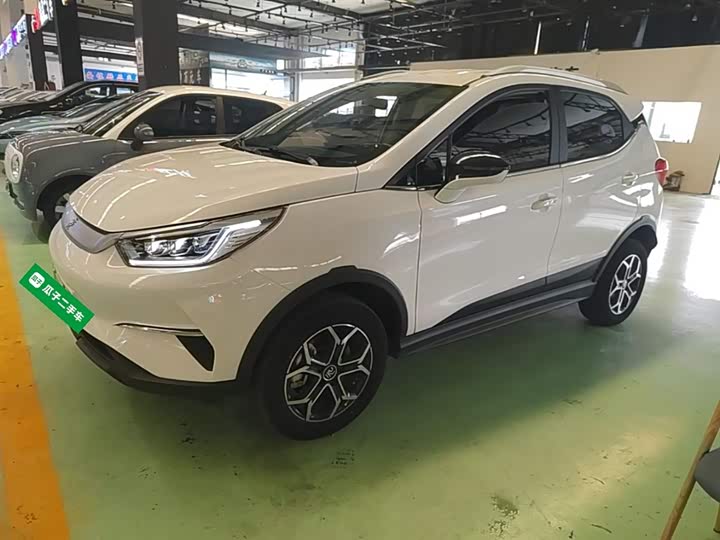 BYD Yuan Pro 2023 2023款 320KM豪华型