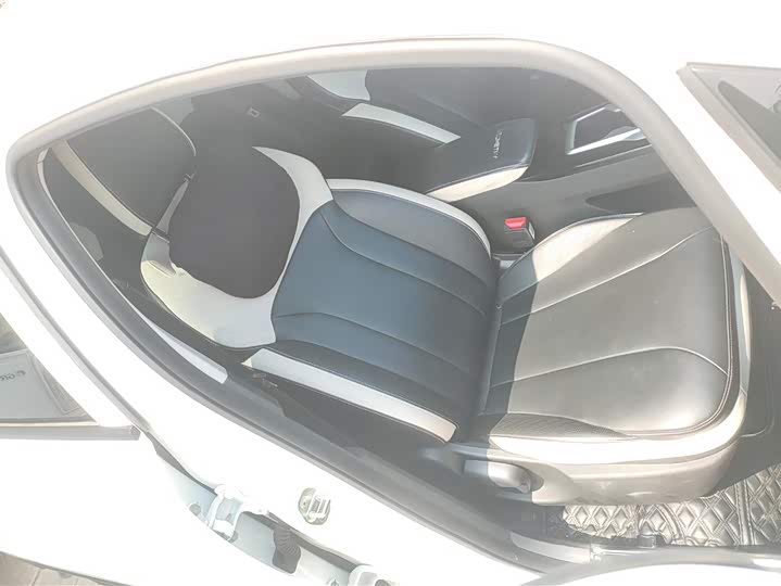 Geely Geometry E Firefly 2024 2024款 301km 星光