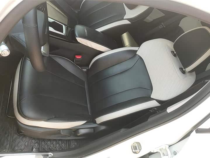 Geely Geometry E Firefly 2024 2024款 301km 星光