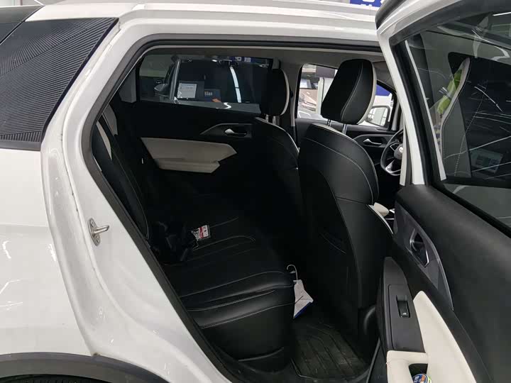 Geely Geometry E Firefly 2024 2024款 301km 星光