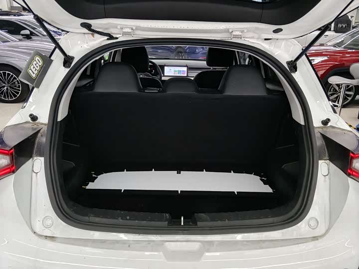 Geely Geometry E Firefly 2024 2024款 301km 星光