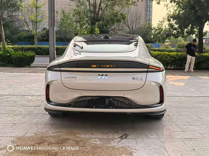 صورة 8 - IM motors L6
