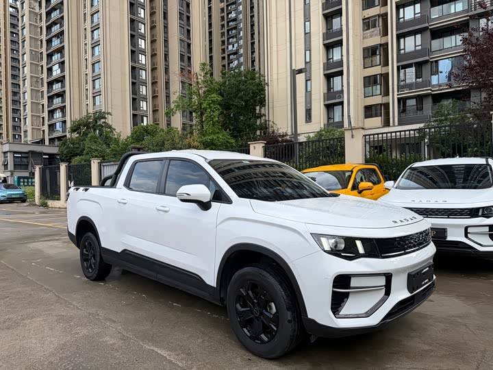 Radar RD5 2025 2025款 430km 两驱长箱 招财金刚