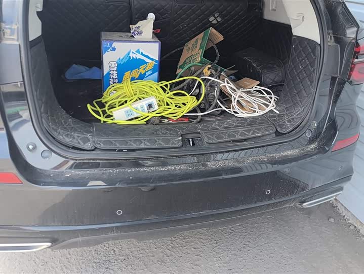 Roewe RX5 2021 2021款 PLUS 300TGI 自动Ali国潮旗舰荣麟版