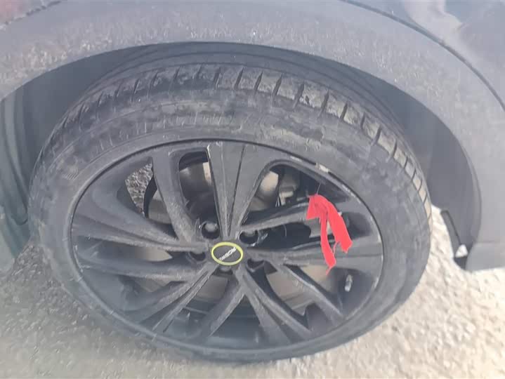 Roewe RX5 2021 2021款 PLUS 300TGI 自动Ali国潮旗舰荣麟版