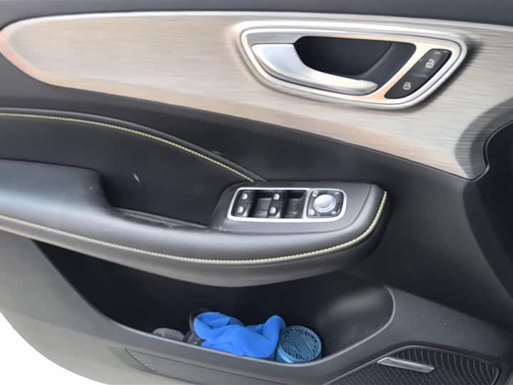 Roewe RX5 2021 2021款 PLUS 300TGI 自动Ali国潮旗舰荣麟版