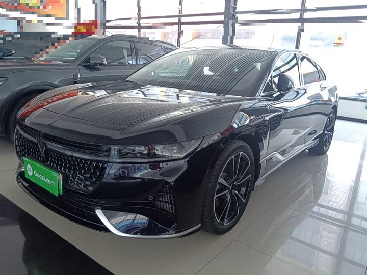 Voyah Passion 2024 2024款 PHEV 四驱超长续航旗舰版
