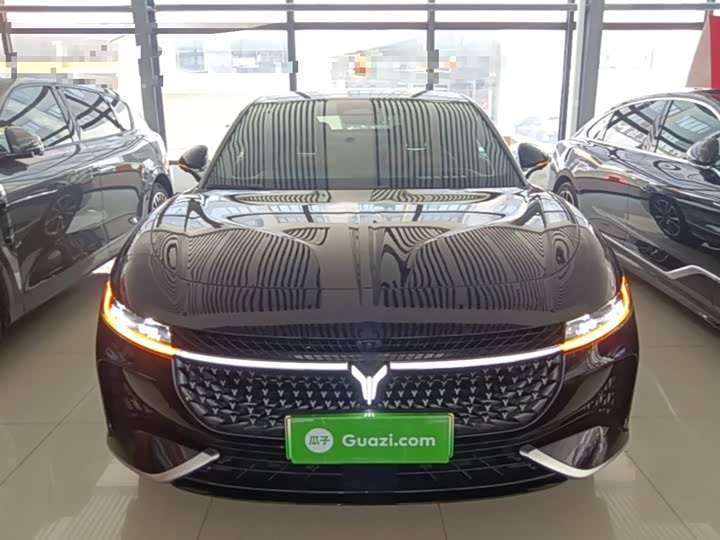 Voyah Passion 2024 2024款 PHEV 四驱超长续航旗舰版