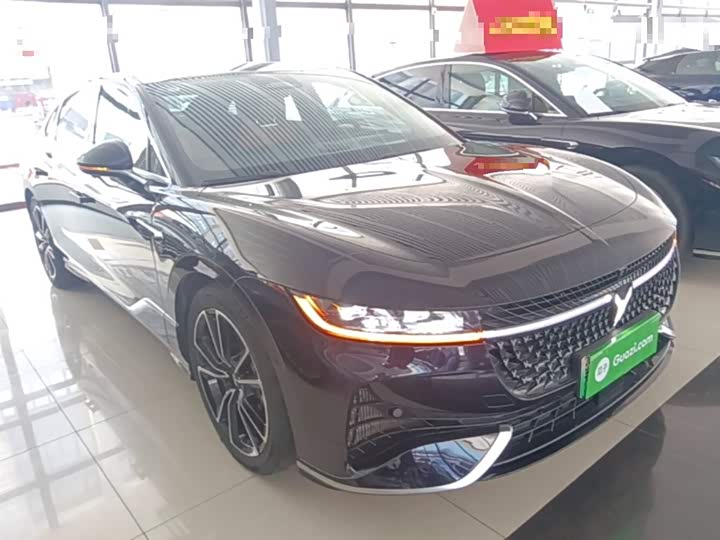 Voyah Passion 2024 2024款 PHEV 四驱超长续航旗舰版
