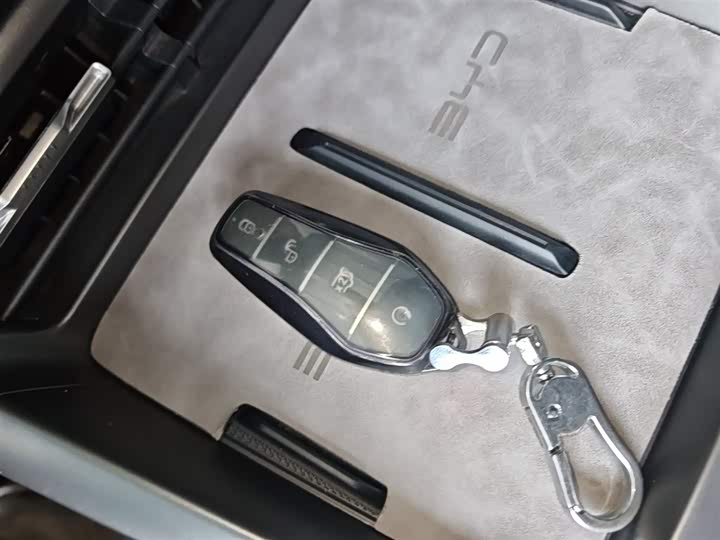 BYD Qin Plus 2025 2025款 DM-i 智驾版 55KM领先型