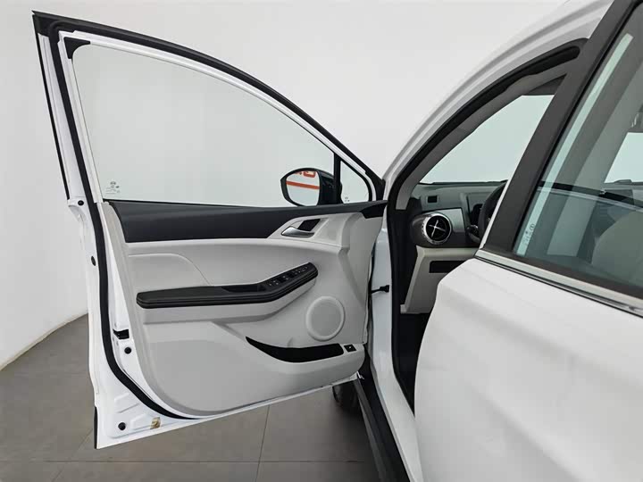 BYD Yuan Pro 2021 2021款 401KM 尊贵型